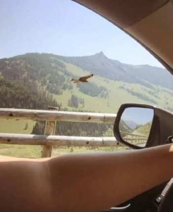 Sharing-My-Freelance-Journey-With-You-2