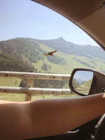 Sharing-My-Freelance-Journey-With-You-2